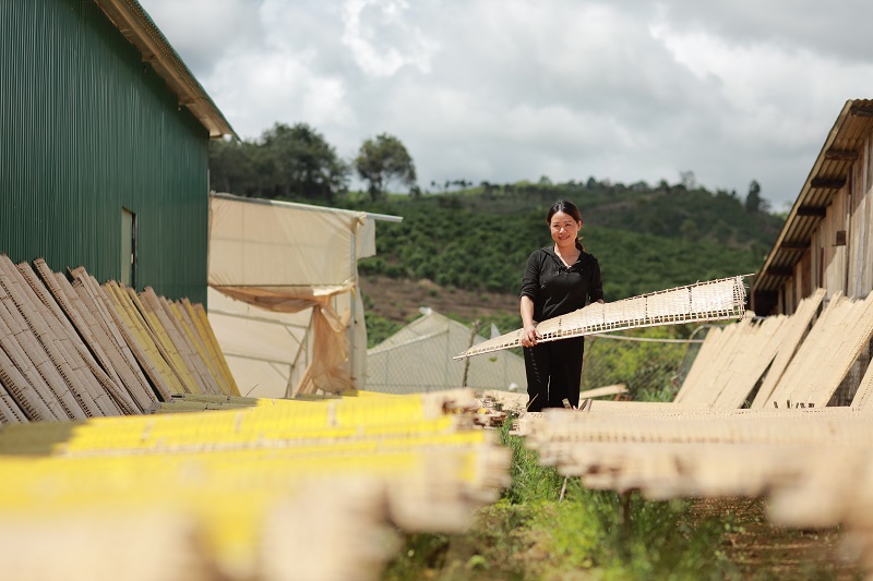 Đam Rông ‘tiếp sức’ các sản phẩm đã được xác lập nhãn hiệu