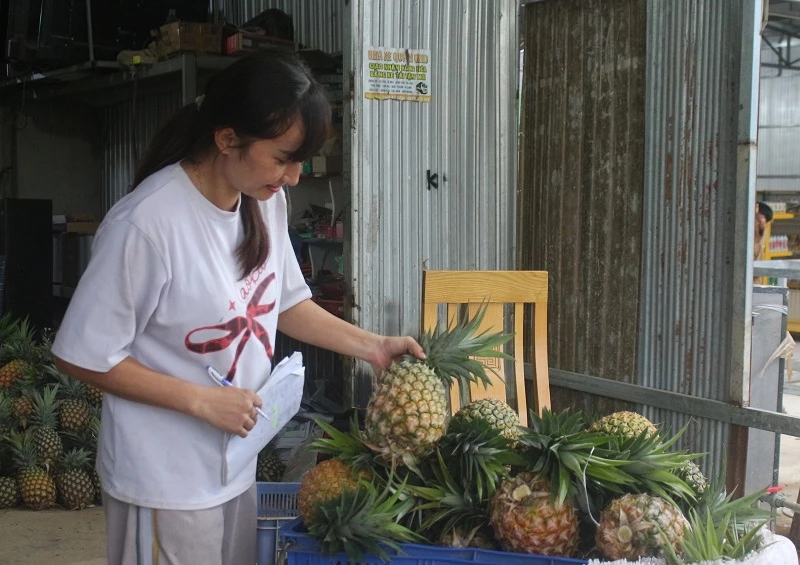 Dứa mật Đam Rông chuẩn bị lên đường đi phục vụ người tiêu dùng các tỉnh.