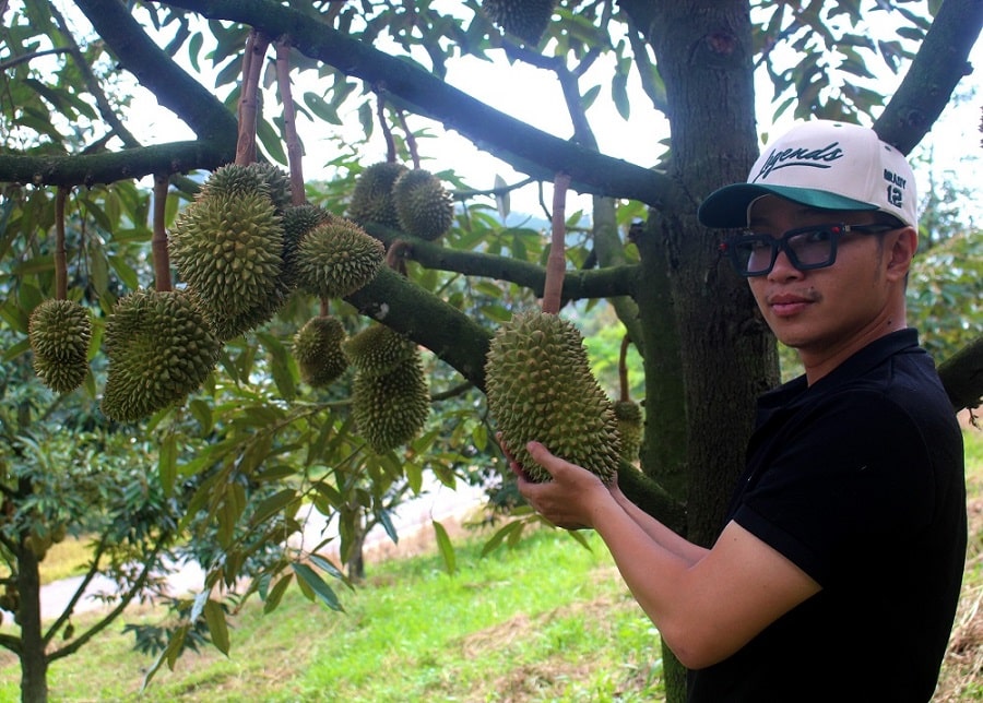 S&#x1EA7;u ri&#xEA;ng &#x110;am R&#xF4;ng: N&#xE2;ng t&#x1EA7;m th&#x1B0;&#x1A1;ng hi&#x1EC7;u t&#x1EEB; l&#x1EE3;i th&#x1EBF; b&#x1EA3;n &#x111;&#x1ECB;a