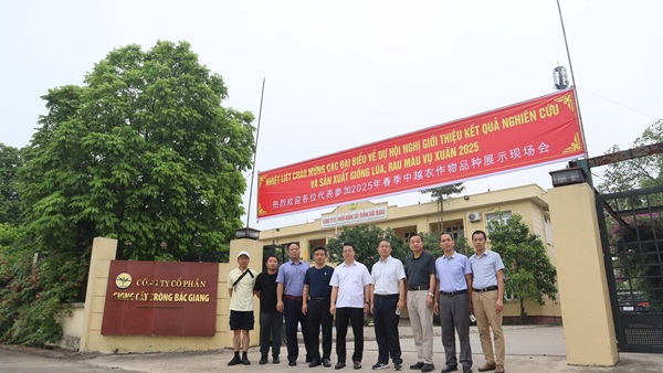 Giới thiệu giống lúa, rau màu năng suất cao và ít sâu bệnh