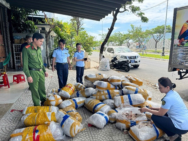 Đà Nẵng: Tạm giữ 700kg mực khô có dấu hiệu hư hỏng, bốc mùi 