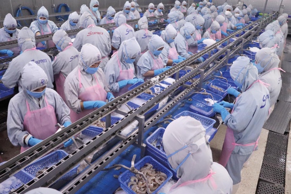 VASEP: Mỹ áp thuế chống bán phá giá tôm Việt Nam cao bất thường