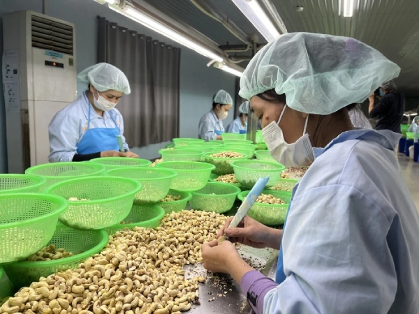 Không thực hành ESG, doanh nghiệp khó trụ trong chuỗi cung ứng toàn cầu