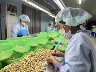 Không thực hành ESG, doanh nghiệp khó trụ trong chuỗi cung ứng toàn cầu