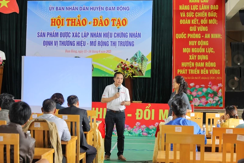 Chuyên gia Nguyễn Mạnh Hà trao đổi thông tin.