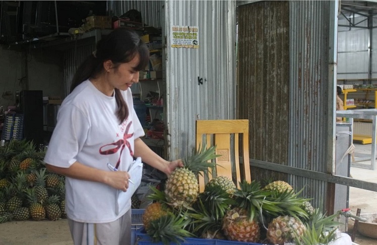 Dứa mật Đam Rông: Khẳng định thương hiệu từ hương vị khác biệt