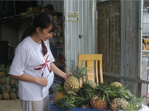 Dứa mật Đam Rông: Khẳng định thương hiệu từ hương vị khác biệt