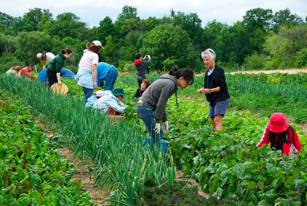 'Gọng kìm' ba chiều từ EU: Doanh nghiệp nông sản, thực phẩm Việt buộc phải chuyển đổi xanh