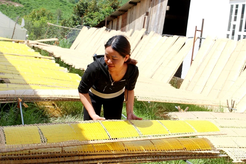 Phơi bánh.