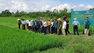 Dự án nông nghiệp tuần hoàn: Xác minh thế nào để doanh nghiệp được vay ưu đãi?