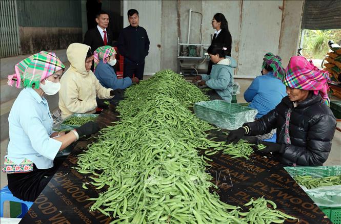 Từ ngày 1/7, nâng mức cho vay đối với cá nhân, hộ kinh doanh không có tài sản đảm bảo
