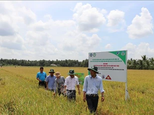 Tài chính xanh cho mục tiêu Net Zero - Bài 1: Đón đầu các nguồn tài chính