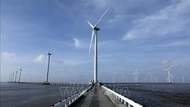 Tài chính xanh cho mục tiêu Net Zero - Bài cuối: Hoàn thiện thể chế toàn diện