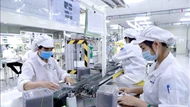 Phát huy vai trò doanh nghiệp trong thực hiện Nghị quyết 57