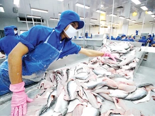 7 doanh nghiệp cá tra Việt Nam hưởng thuế chống phá giá 0% tại Mỹ