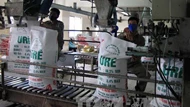 Thị trường phân bón: Giá bán trong nước bám sát đà tăng cao của thế giới