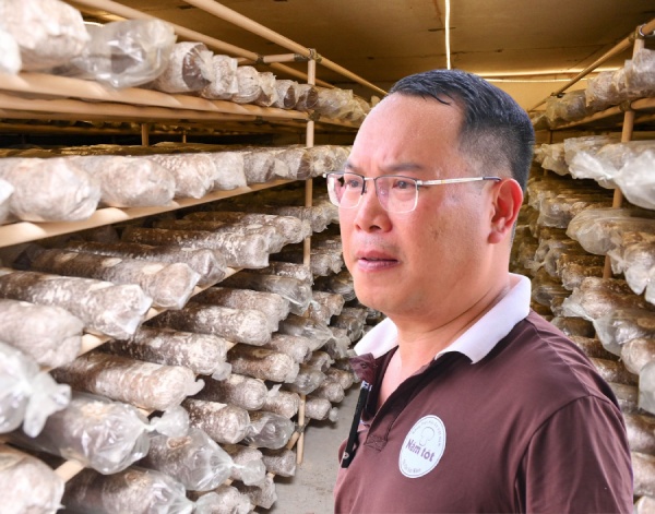 CEO Mai Văn Hưng: Hơn thập kỷ theo đuổi giấc mơ nấm hữu cơ