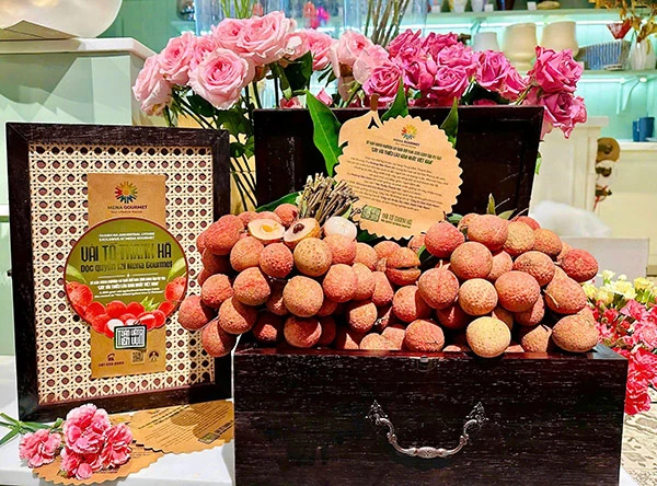 Vải tổ Thanh Hà được cung cấp độc quyền tại hệ thống siêu thị cao cấp Mena Gourmet. Vải tổ Thanh Hà được cung cấp độc quyền tại hệ thống siêu thị cao cấp Mena Gourmet.