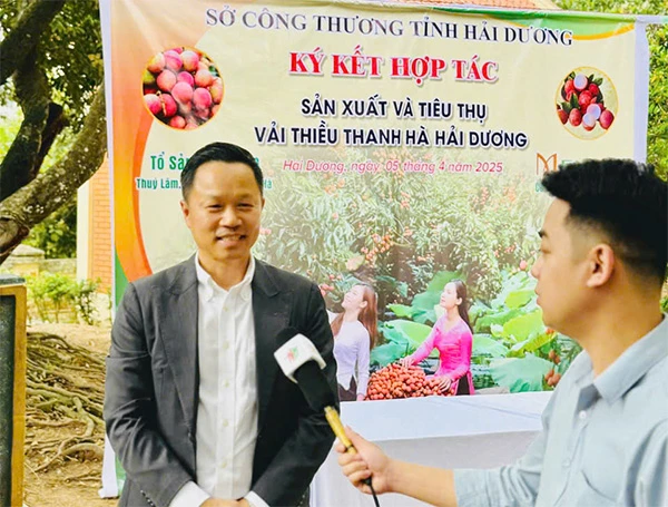 Tổng Giám đốc Menas Group Nguyễn Đức Quỳnh rất tâm huyết với vải thiều Thanh Hà. Tổng Giám đốc Menas Group Nguyễn Đức Quỳnh rất tâm huyết với vải thiều Thanh Hà.