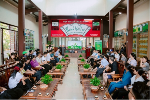 Thái Nguyên: Nông dân La Bằng học cách kể chuyện trà