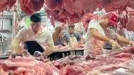 Đầu tư bài bản cho 'thịt sạch'