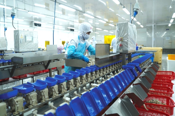 Nhiều doanh nghiệp thuỷ sản chủ động dừng xuất khẩu sang Mỹ