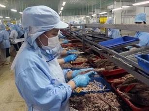 Sau 2 tháng thực hiện Nghị quyết 68, số doanh nghiệp gia nhập thị trường khởi sắc