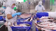 Việt Nam - Brazil: Nhiều dư địa hợp tác kinh tế thương mại