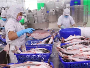 Việt Nam - Brazil: Nhiều dư địa hợp tác kinh tế thương mại