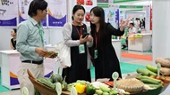 TP Hồ Chí Minh: Nâng chuẩn sản phẩm OCOP hướng tới xuất khẩu