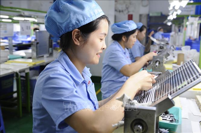 Niềm tin được củng cố, số doanh nghiệp hoạt động trở lại tăng hơn 91%
