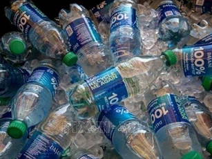 Vi khuẩn giúp chuyển hóa rác thải nhựa thành thuốc giảm đau
