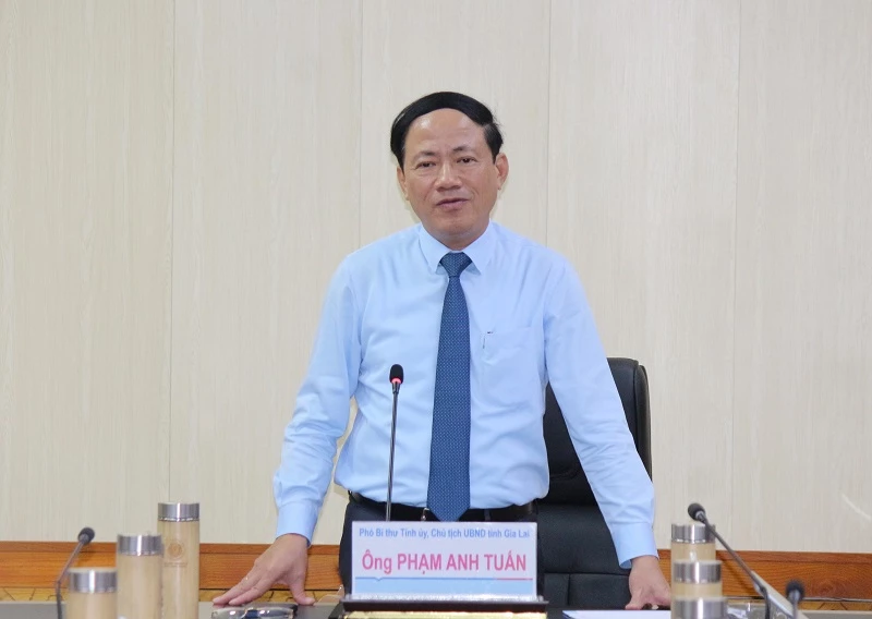 Chủ tịch UBND tỉnh Gia Lai Phạm Anh Tuấn phát biểu chỉ đạo.