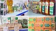 6 tháng đầu năm, Nghệ An có gần 1.600 doanh nghiệp mới