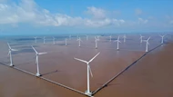 Tiềm năng nào để Cà Mau đặt ra mục tiêu tăng trưởng 8,5% năm 2025?