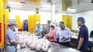 Linh hoạt quy trình nộp thuế hỗ trợ các hộ kinh doanh