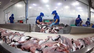 Cảnh báo sớm bảo vệ hàng xuất khẩu