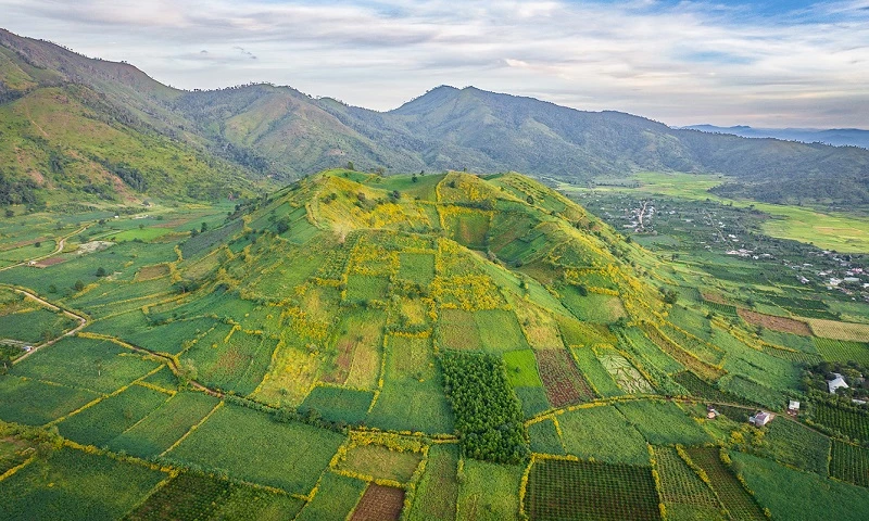 Núi lửa Chư Đăng Ya - "thiên đường vàng" giữa đất trời Gia Lai. Ảnh: Internet. Núi lửa Chư Đăng Ya - "thiên đường vàng" giữa đất trời Gia Lai. Ảnh: Internet.