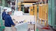 Tăng năng lực cạnh tranh cho doanh nghiệp qua cẩm nang ESG