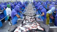 Doanh nghiệp cá tra 'né" thuế Mỹ bằng sản phẩm chế biến sâu