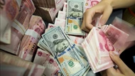 Tỷ giá ngoại tệ ngày 24/07/2025: USD và NDT biến động nhẹ