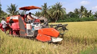 Sản xuất nông nghiệp giảm phát thải: Tiên phong từ hạt gạo Việt