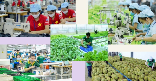 Doanh nghiệp Việt cần làm gì để phát triển bền vững?