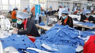 5 năm EVFTA: Cú hích xuất khẩu và bài toán nâng chuẩn hội nhập