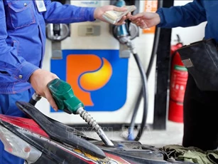 36 cửa hàng Petrolimex tại TP Hồ Chí Minh bắt đầu bán xăng E10