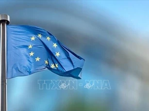 5 năm thực thi EVFTA: Hợp tác thương mại giữa Việt Nam và EU tăng trưởng vượt bậc