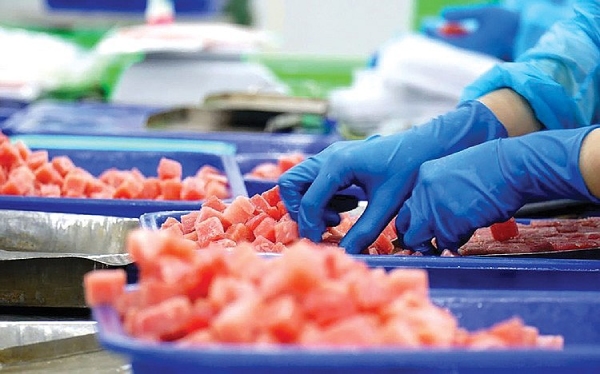 Thu&#x1EBF; quan M&#x1EF9; &#x111;&#x1ECB;nh h&#xEC;nh l&#x1EA1;i th&#x1ECB; tr&#x1B0;&#x1EDD;ng c&#xE1; ng&#x1EEB;, Vi&#x1EC7;t Nam &#x111;&#x1ED1;i m&#x1EB7;t th&#xE1;ch th&#x1EE9;c