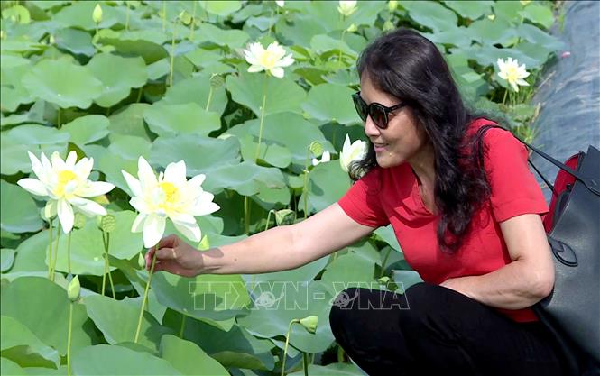 Mở lối phát triển nông nghiệp gắn với du lịch trải nghiệm