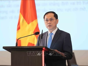 30 năm Việt Nam tham gia ASEAN - Từ khát vọng chung đến thành viên tin cậy và trách nhiệm
