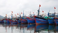 Quyết liệt ngăn tàu cá khai thác hải sản trái phép ở vùng biển nước ngoài